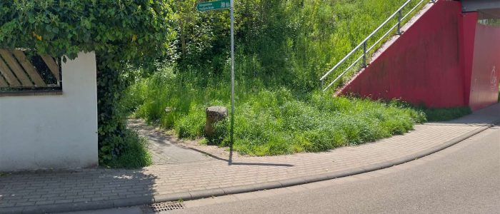 maemopp_2023_2204_01