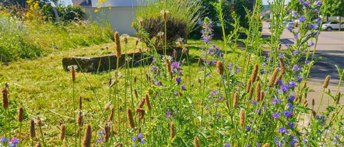 maemopp_2023_2204_08