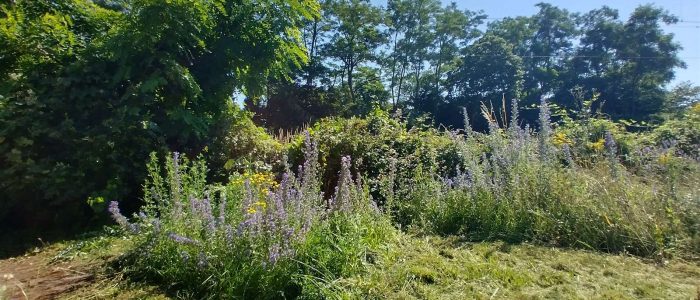 maemopp_2023_2204_11