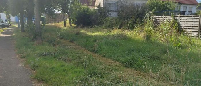 maemopp_2023_2204_13