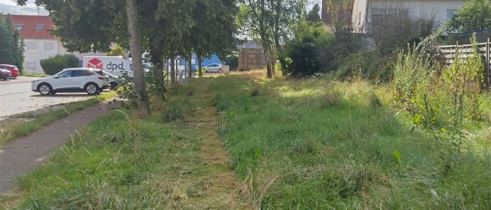 maemopp_2023_2204_14