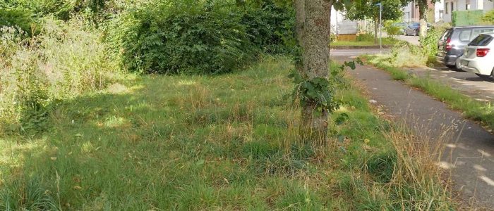 maemopp_2023_2204_16