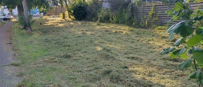 maemopp_2023_2204_17