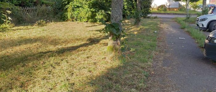 maemopp_2023_2204_18