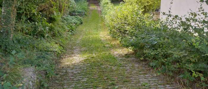 maemopp_2023_2204_19