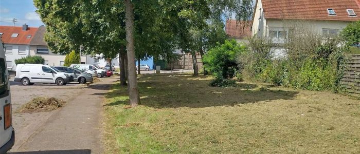 maemopp_2023_2204_20