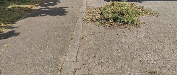 maemopp_2023_2204_21