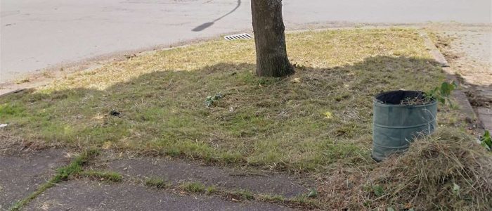 maemopp_2023_2204_22