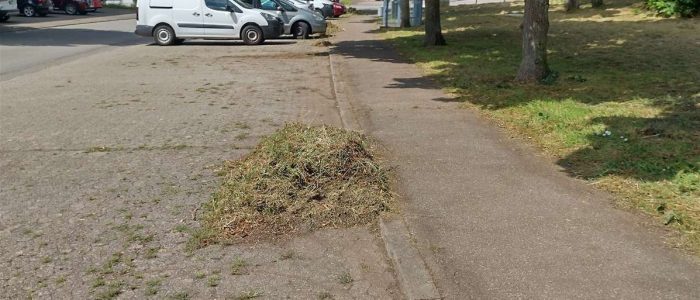 maemopp_2023_2204_23