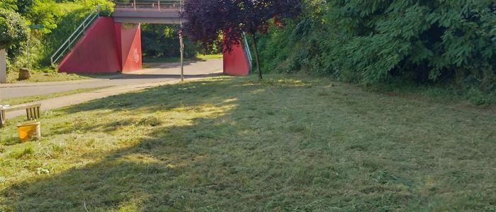 maemopp_2023_2204_25