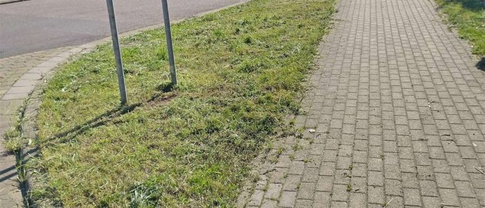 maemopp_2023_2204_26