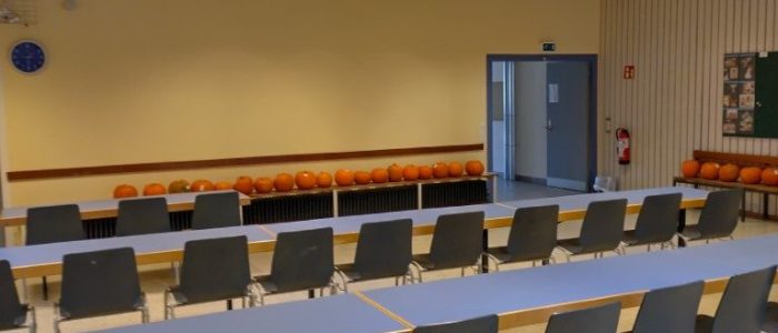 IMG_20241025_132919_HDR