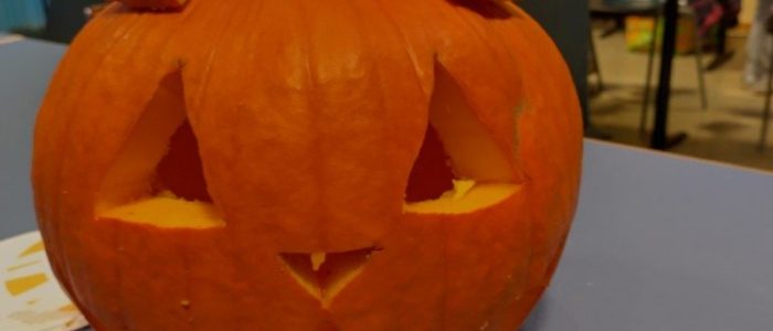 IMG_20241025_160100_HDR