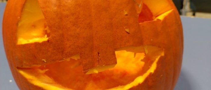 IMG_20241025_161001_HDR