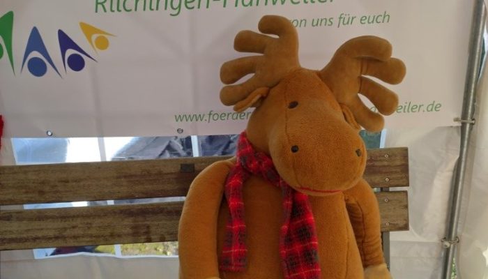 IMG_20241130_133247_HDR